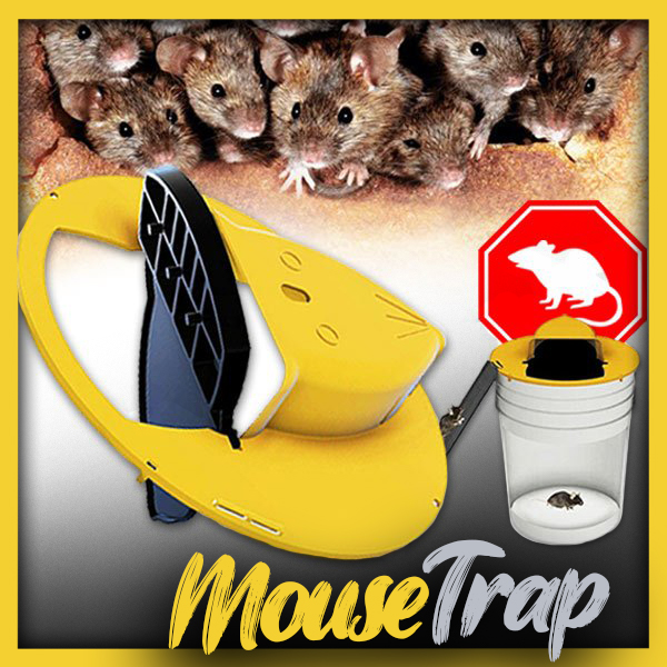 Mousetrap – Csapda egereknek és patkányoknak