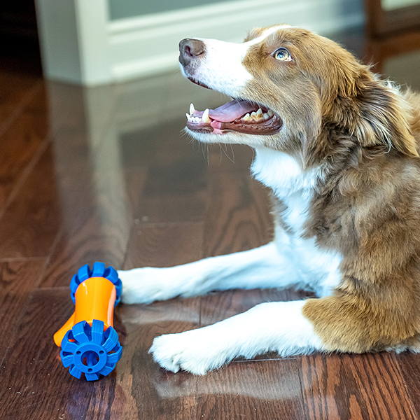 Robotizált Kutyacsemege Adagoló slider