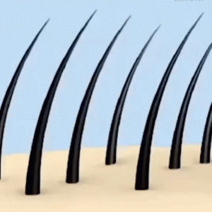 FluffUp – Titkos Hajdúsító 03