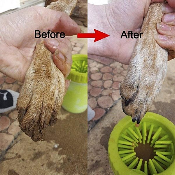 Paw cleaner – Mancstisztító slider