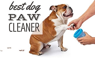 Paw cleaner – Mancstisztító slider