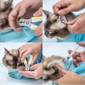 Cat grooming bag – Macskaápoló táska 03