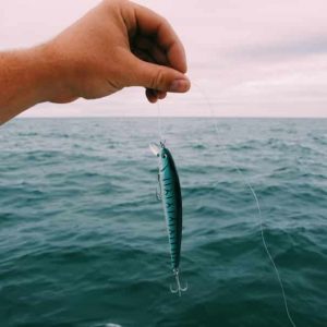 PROFI HALCSALI MINDEN HORGÁSZ SZÁMÁRA 03