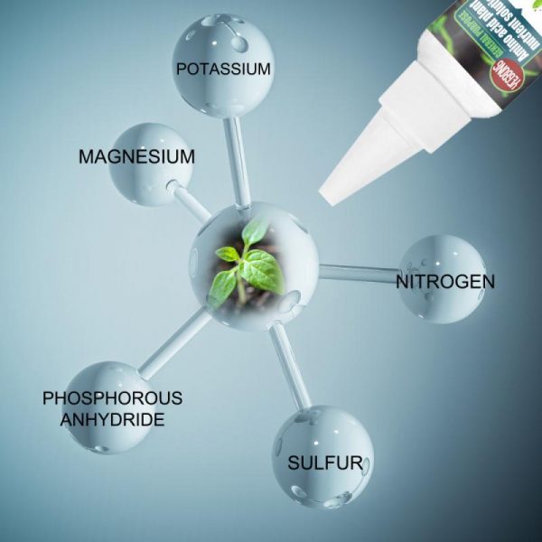 Planttpro – Folyékony műtrágya növények számára slider