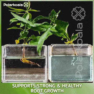 Planttpro – Folyékony műtrágya növények számára 02